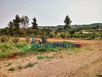 Guaraní. Últimos 4 lotes disponibles.