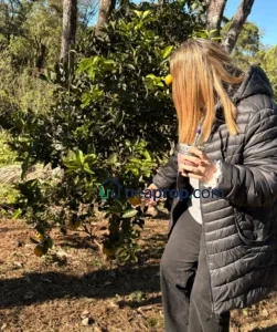 Aristobulo del Valle. Quinta en venta, arboles frutales, a 1 km del centro.