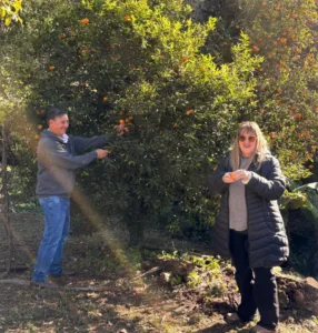 Aristobulo del Valle. Quinta en venta, arboles frutales, a 1 km del centro.