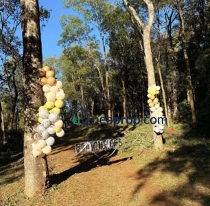 Aristobulo del Valle. Quinta en venta, arboles frutales, a 1 km del centro.