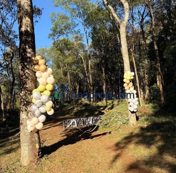 Aristobulo del Valle. Quinta en venta, arboles frutales, a 1 km del centro.